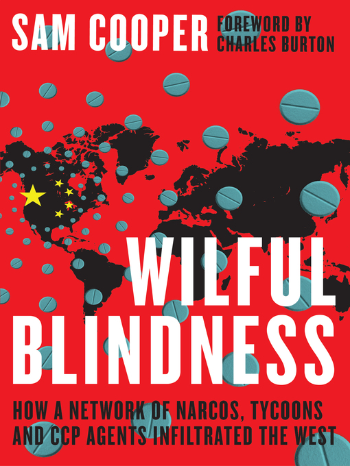 Cover image for Wilful Blindness